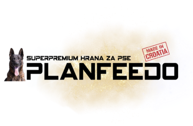 Planfeedo