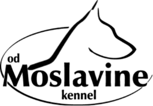 od Moslavine kennel logo